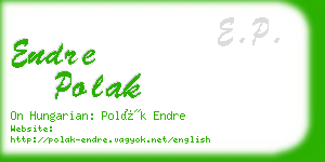 endre polak business card